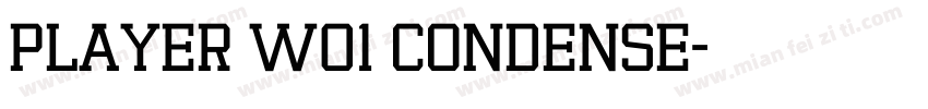 Player W01 Condense字体转换